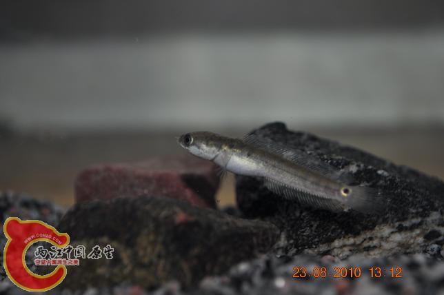 DSC_1763.JPG