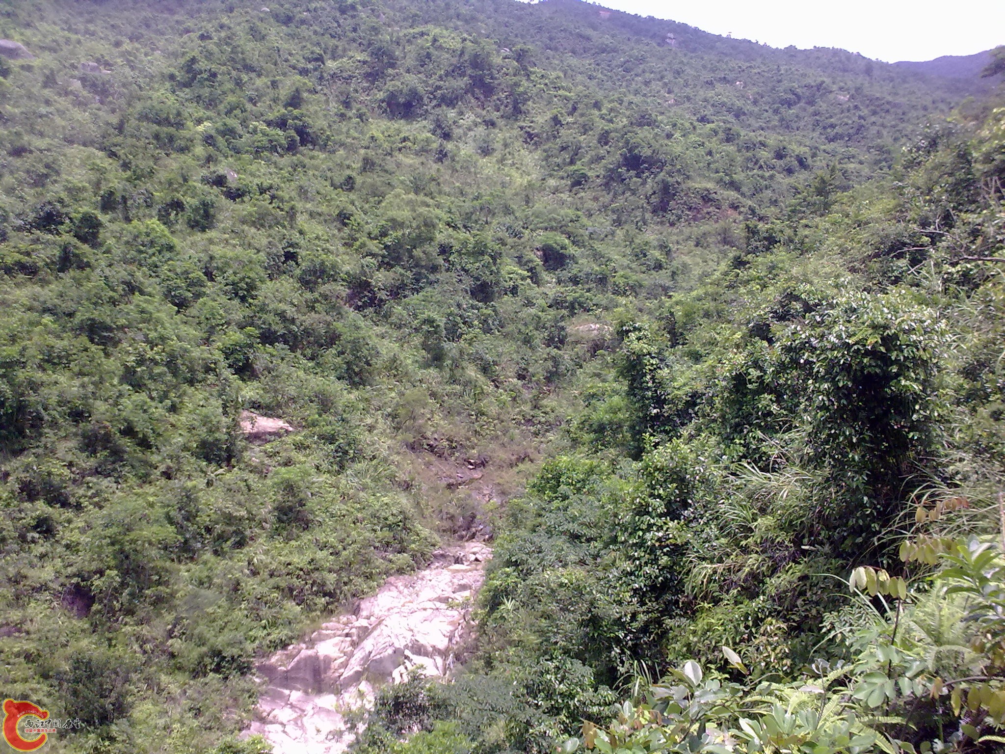20100820056.jpg