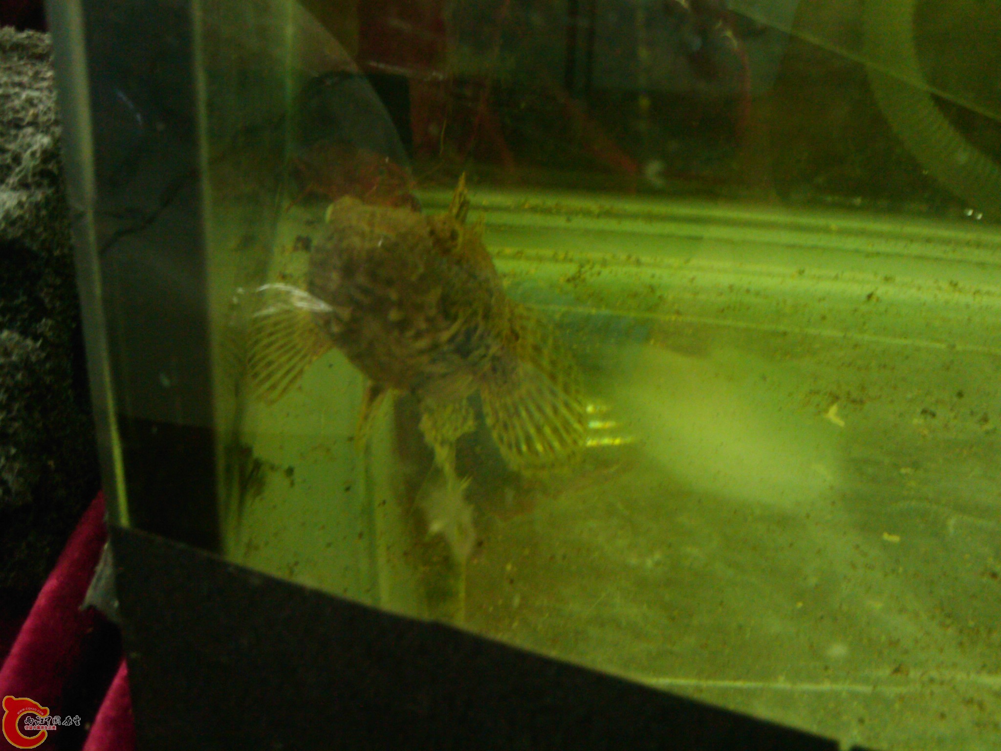 IMAG0556.jpg