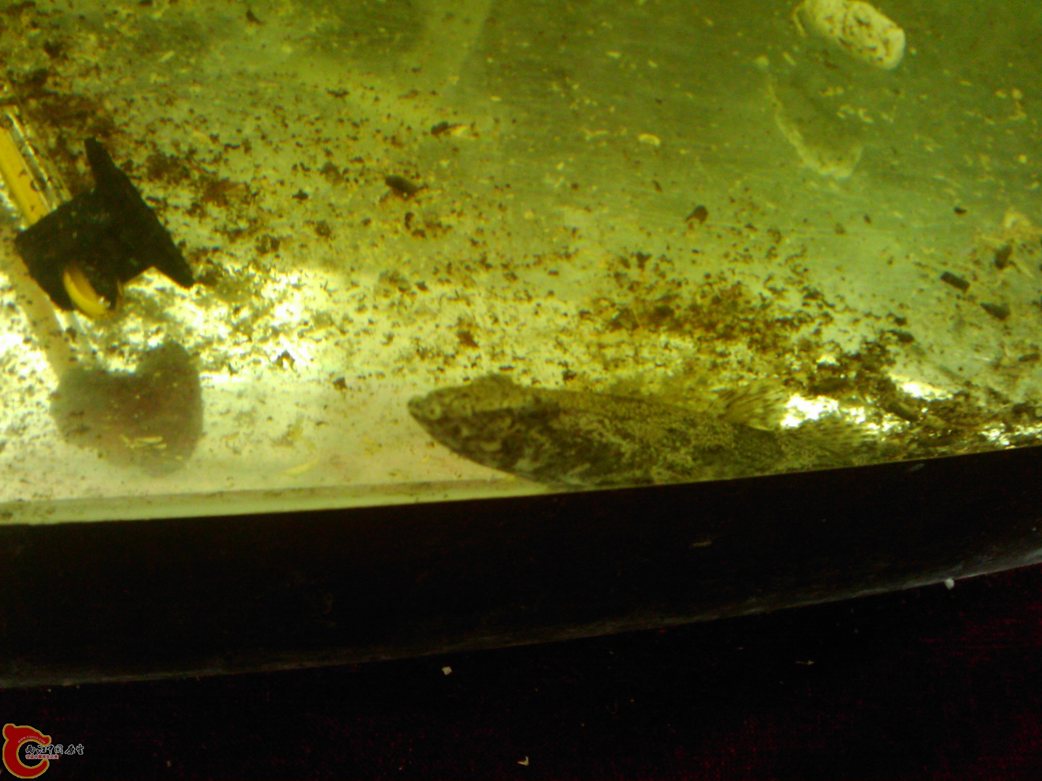 IMAG0559.jpg