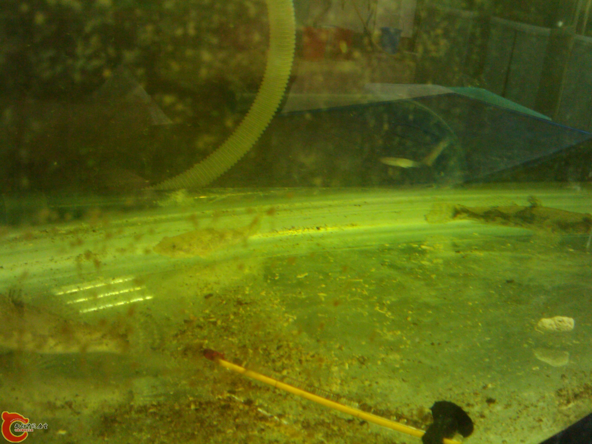 IMAG0557.jpg