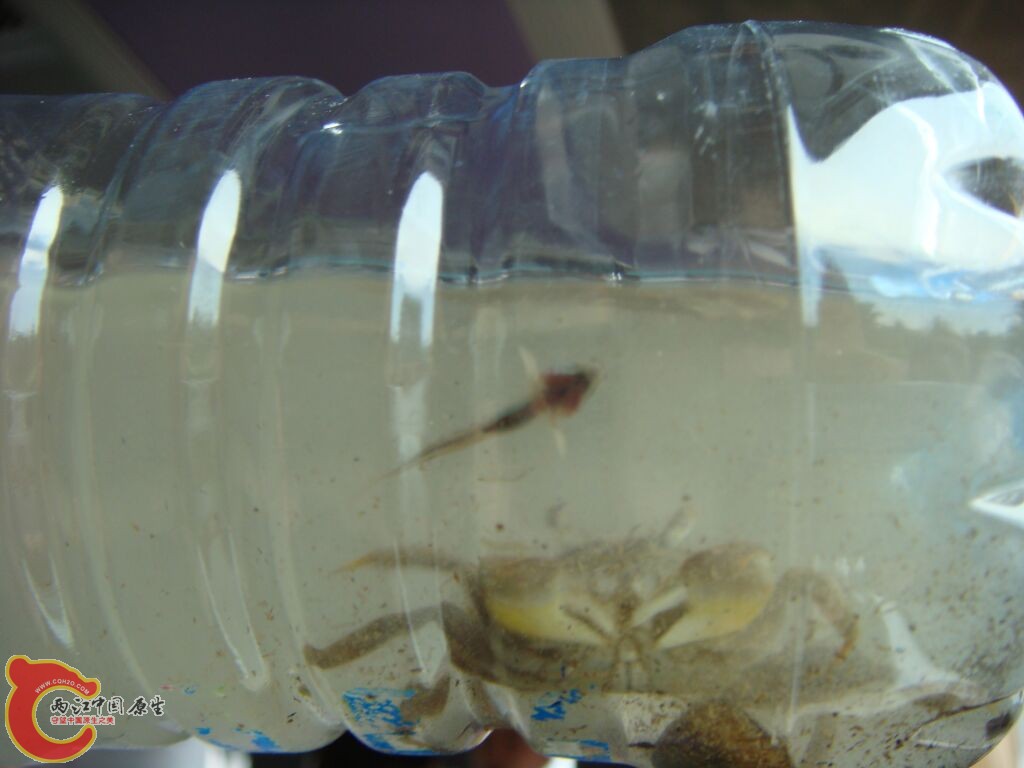 DSC02284.jpg