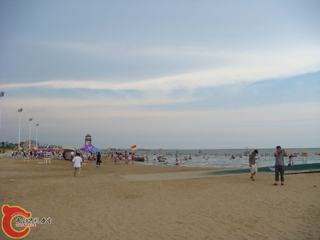 DSC02295.jpg