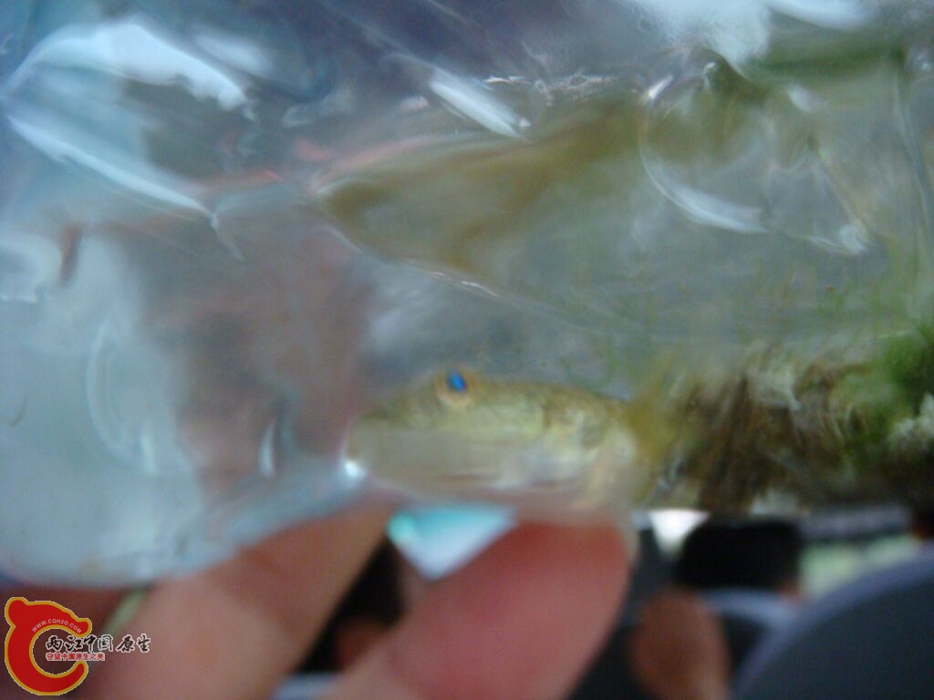 DSC02300.jpg