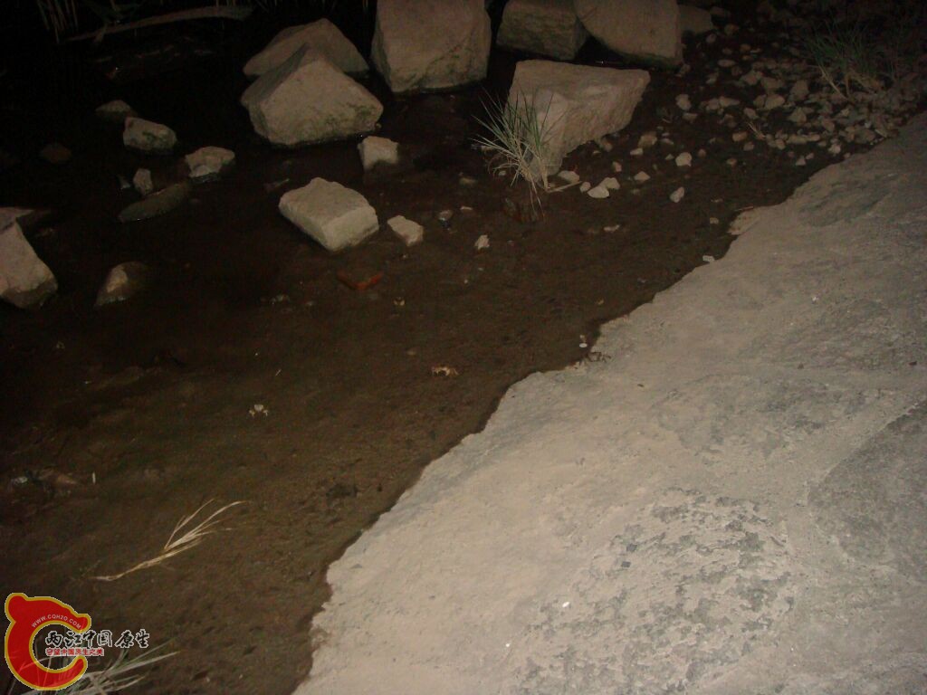 DSC02350.jpg