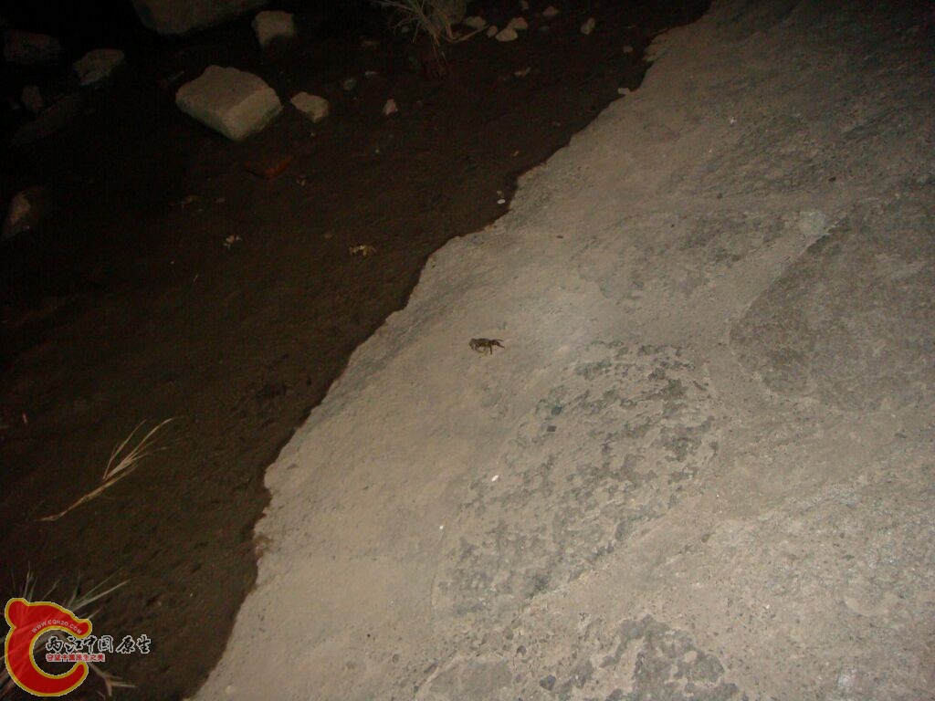 DSC02352.jpg