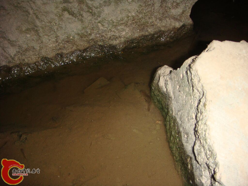 DSC02358.jpg