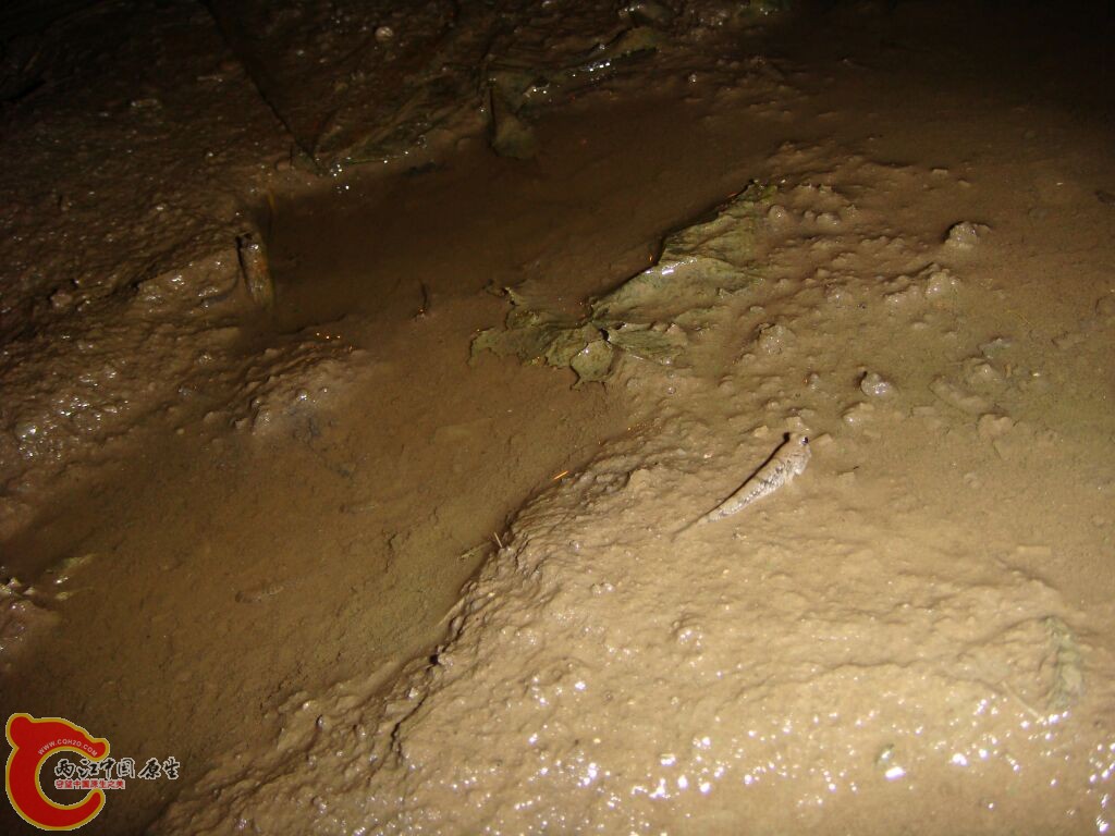 DSC02362.jpg