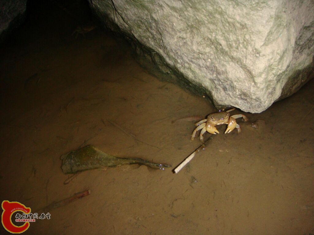 DSC02364.jpg