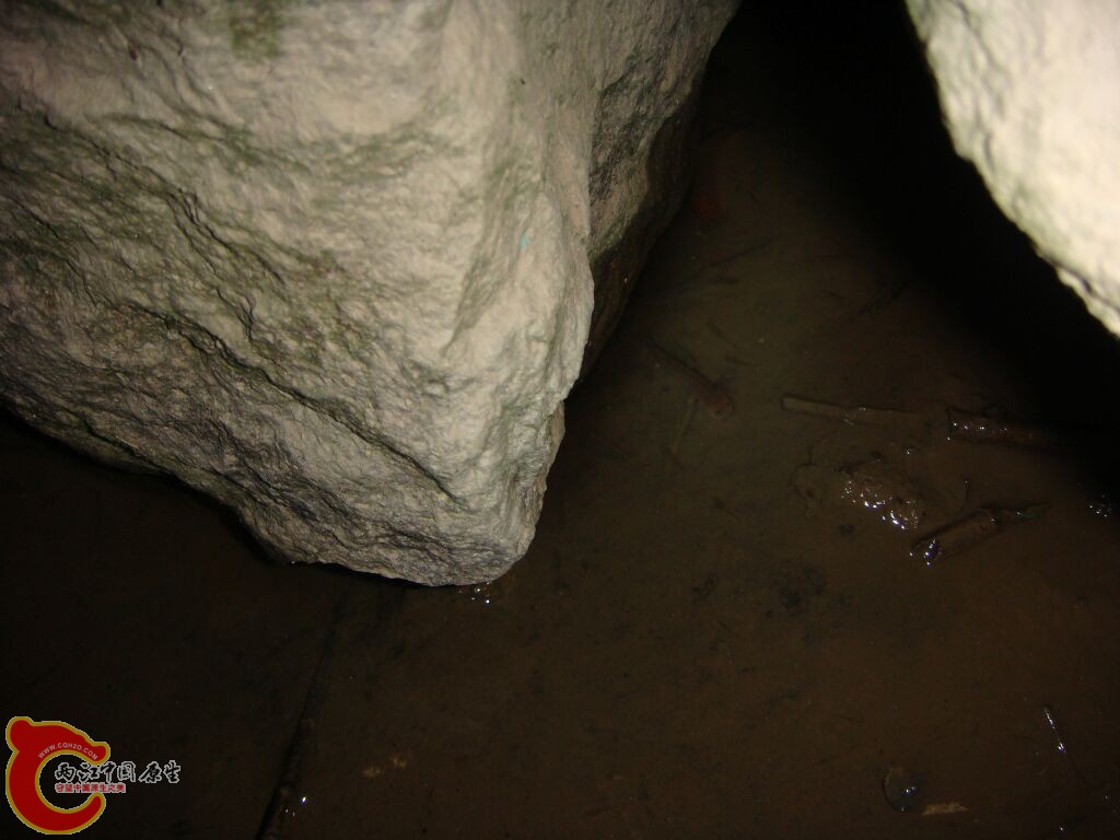 DSC02368.jpg