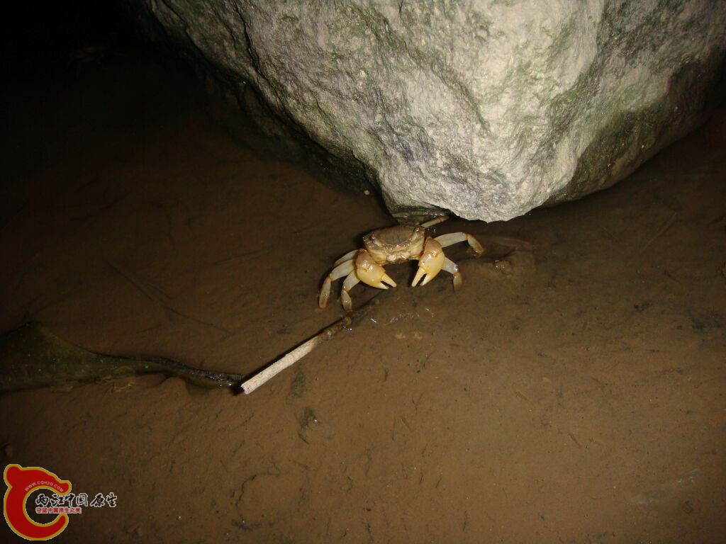 DSC02365.jpg