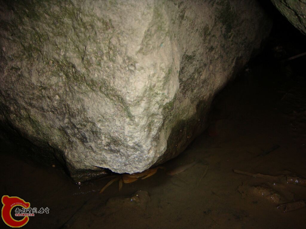 DSC02369.jpg