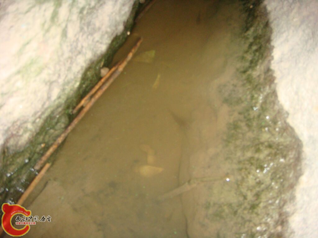 DSC02375.jpg