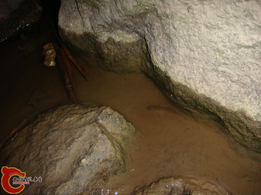 DSC02374.jpg