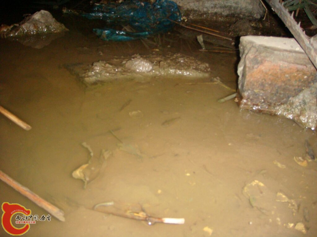 DSC02378.jpg