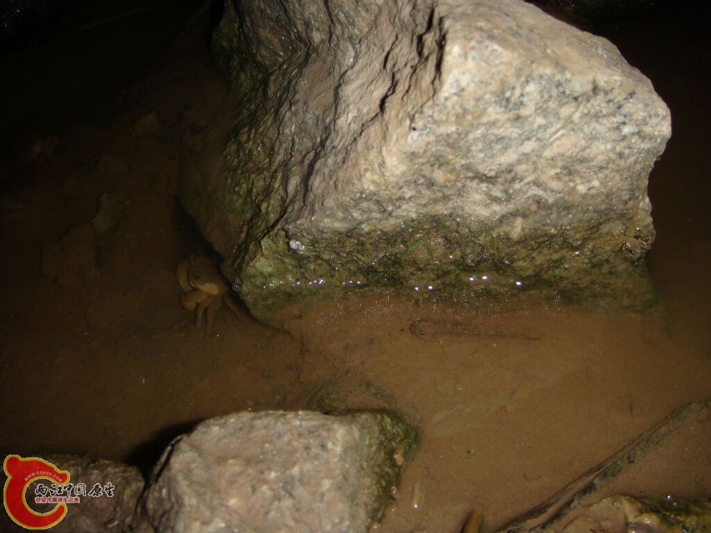DSC02380.jpg