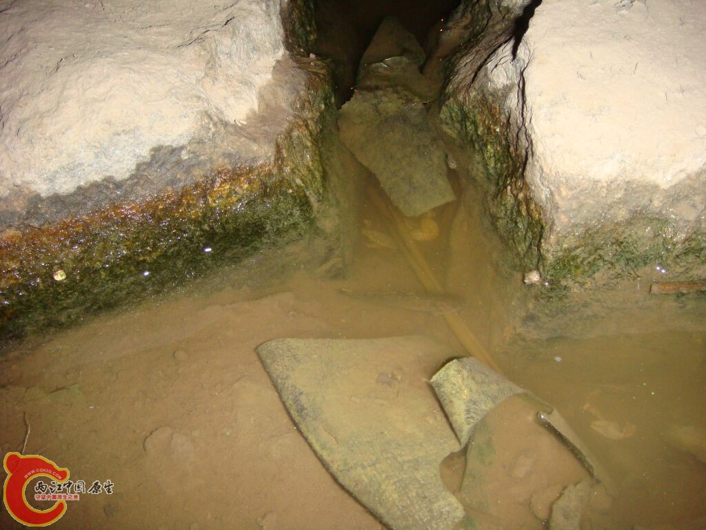 DSC02379.jpg