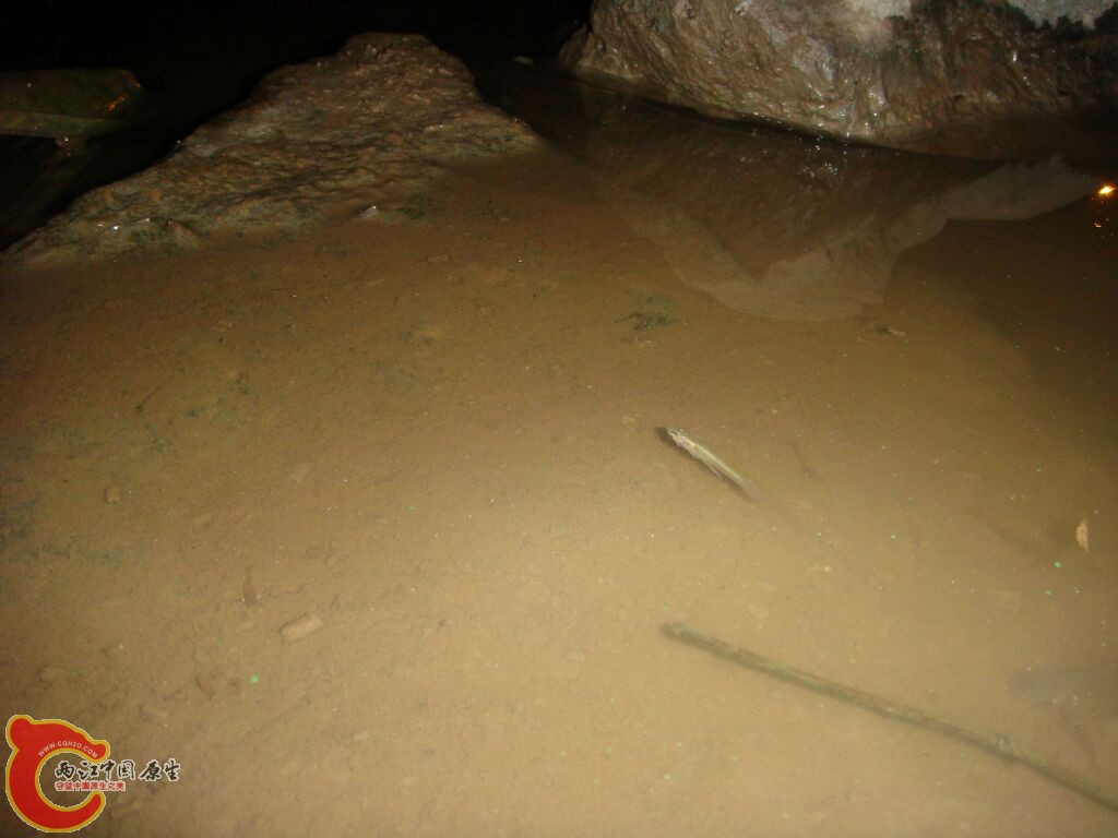 DSC02381.jpg