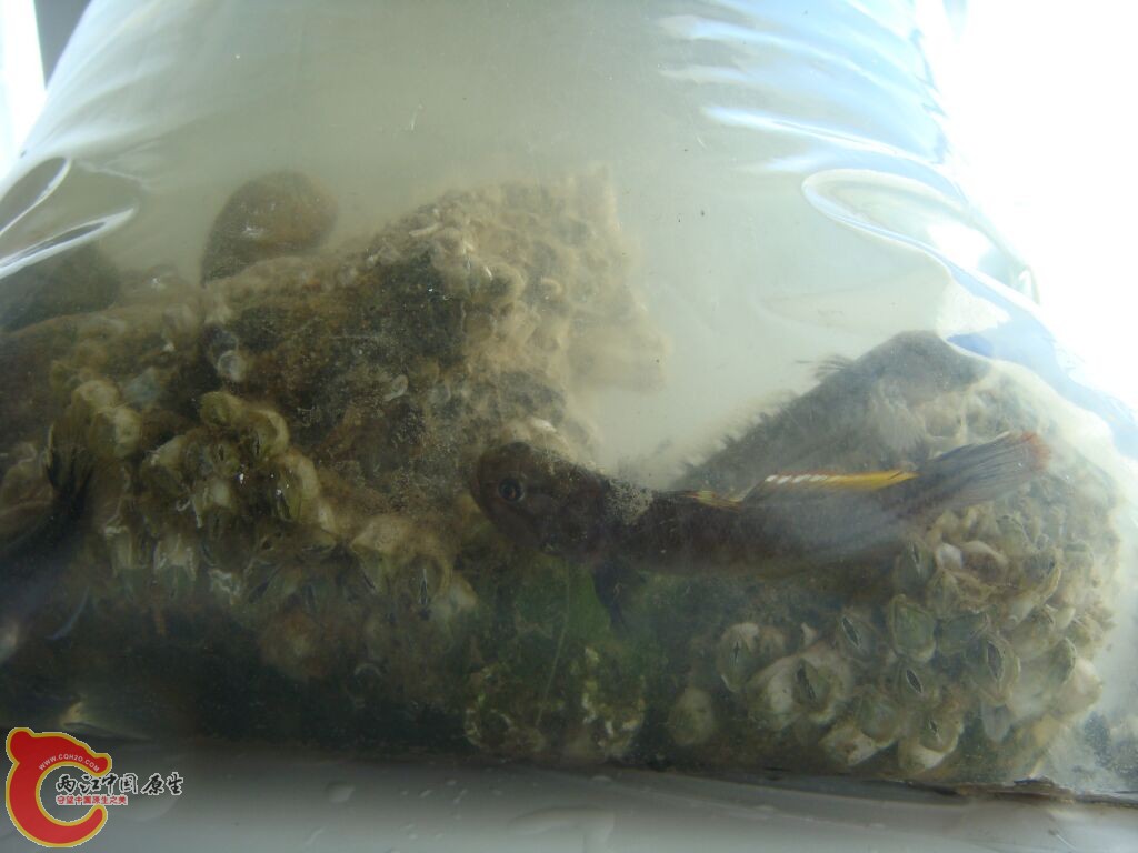 DSC02462.jpg