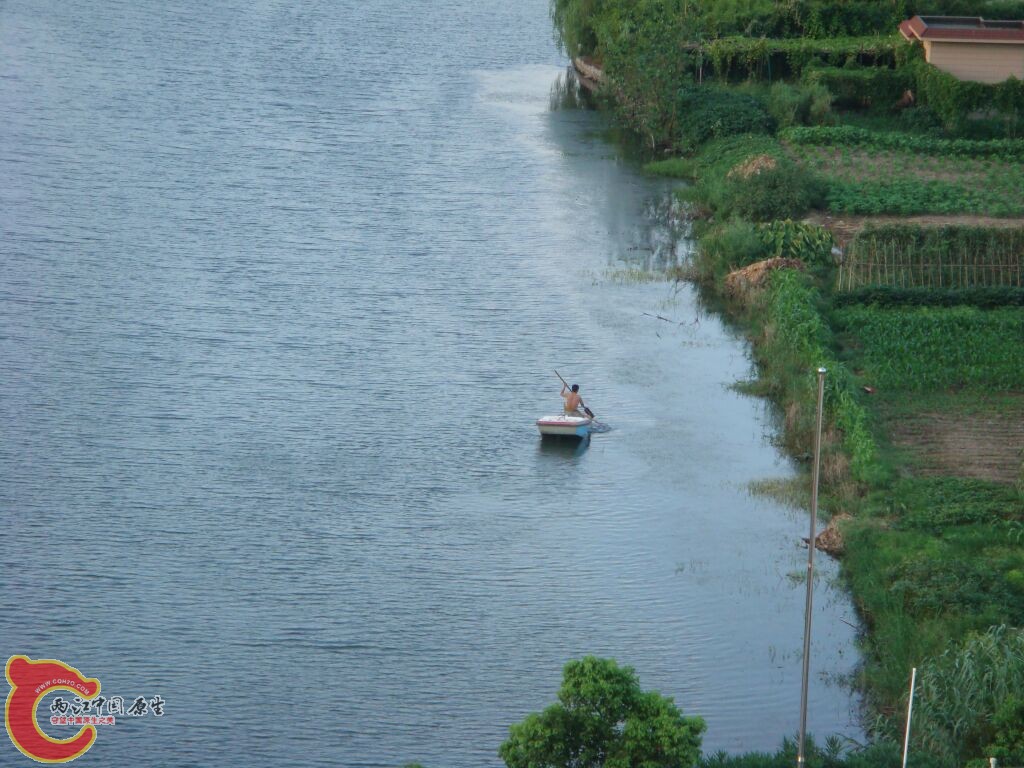 DSC02404.jpg
