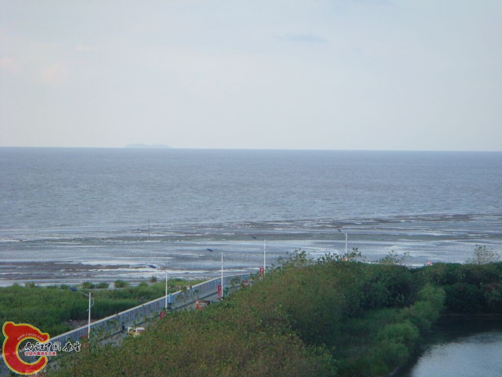 DSC02406.jpg