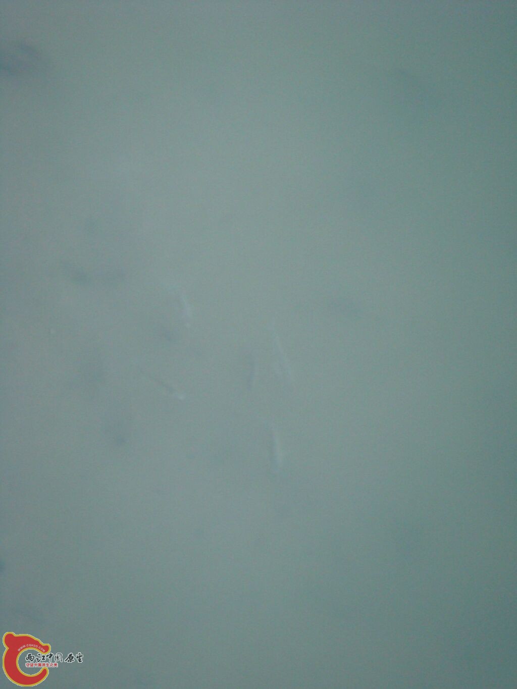 DSC02416.jpg