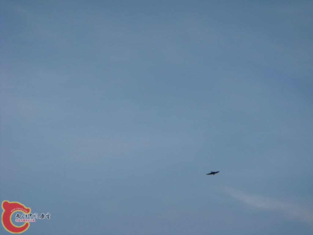 DSC02407.jpg