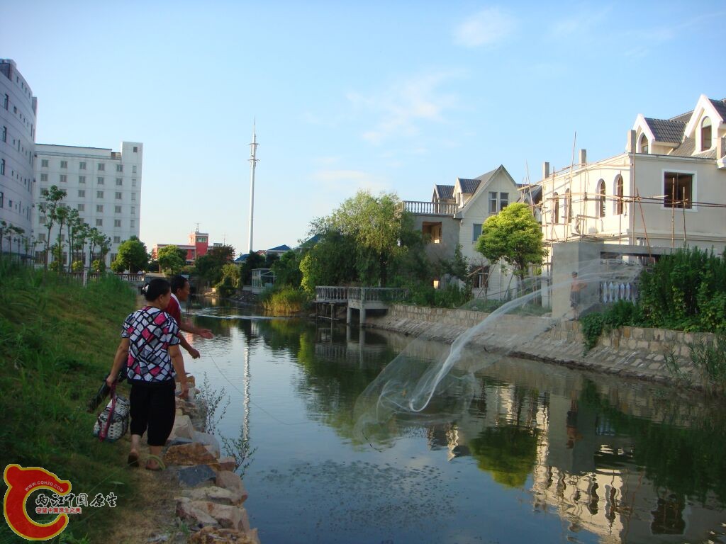 DSC02424.jpg