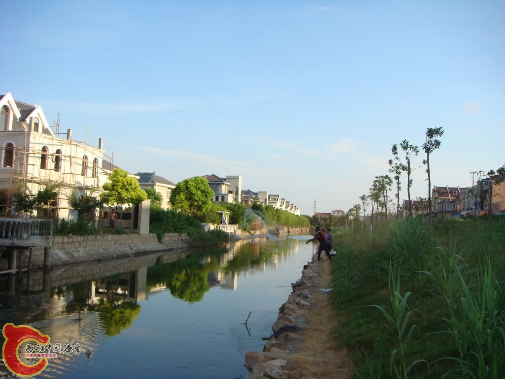 DSC02428.jpg