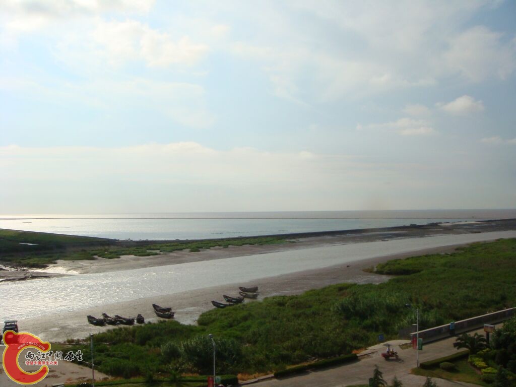 DSC02435.jpg