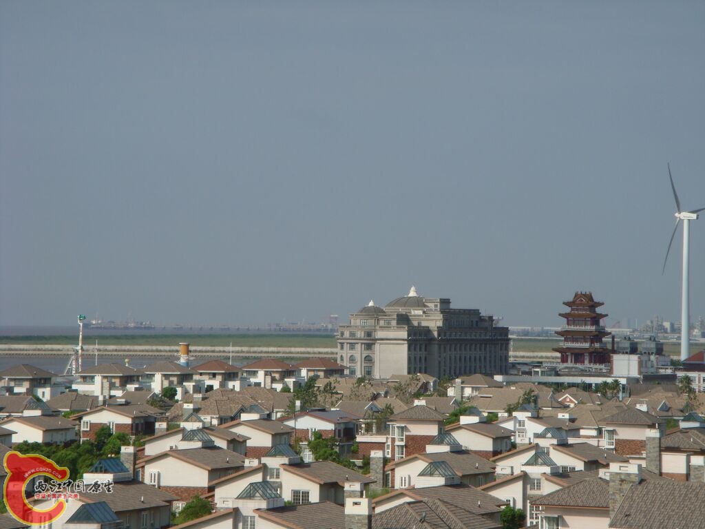 DSC02444.jpg