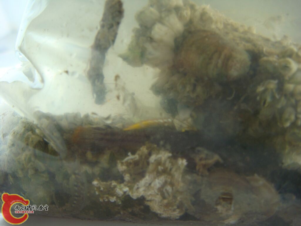 DSC02446.jpg