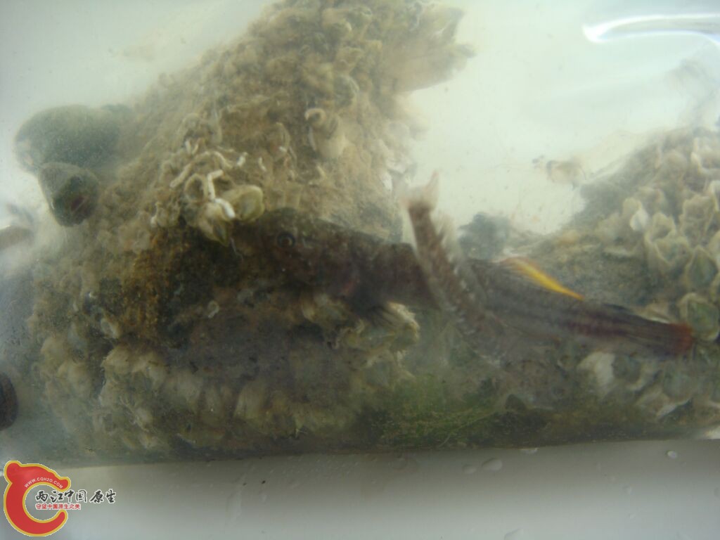 DSC02450.jpg