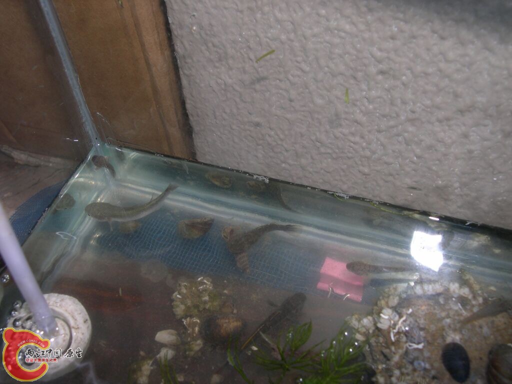 DSCN5010.jpg