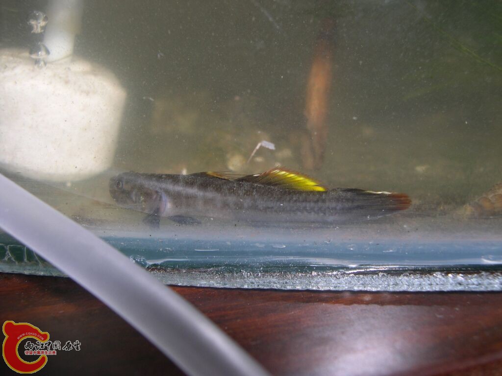 DSCN5017.jpg