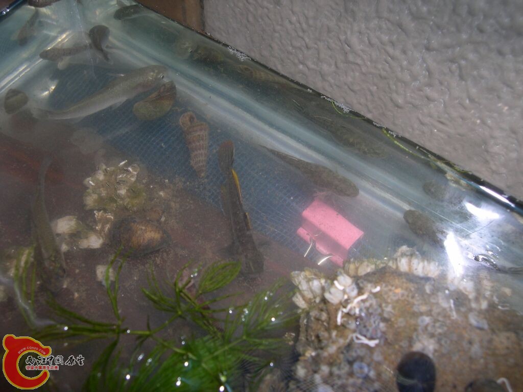 DSCN5012.jpg