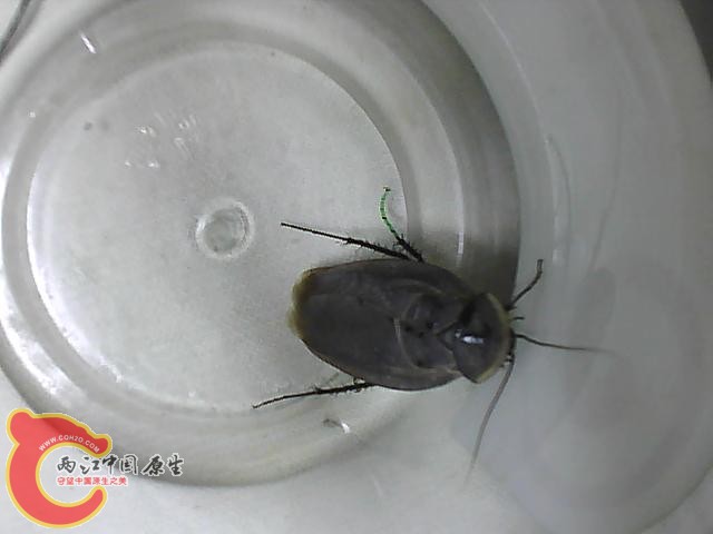 图片 019.jpg