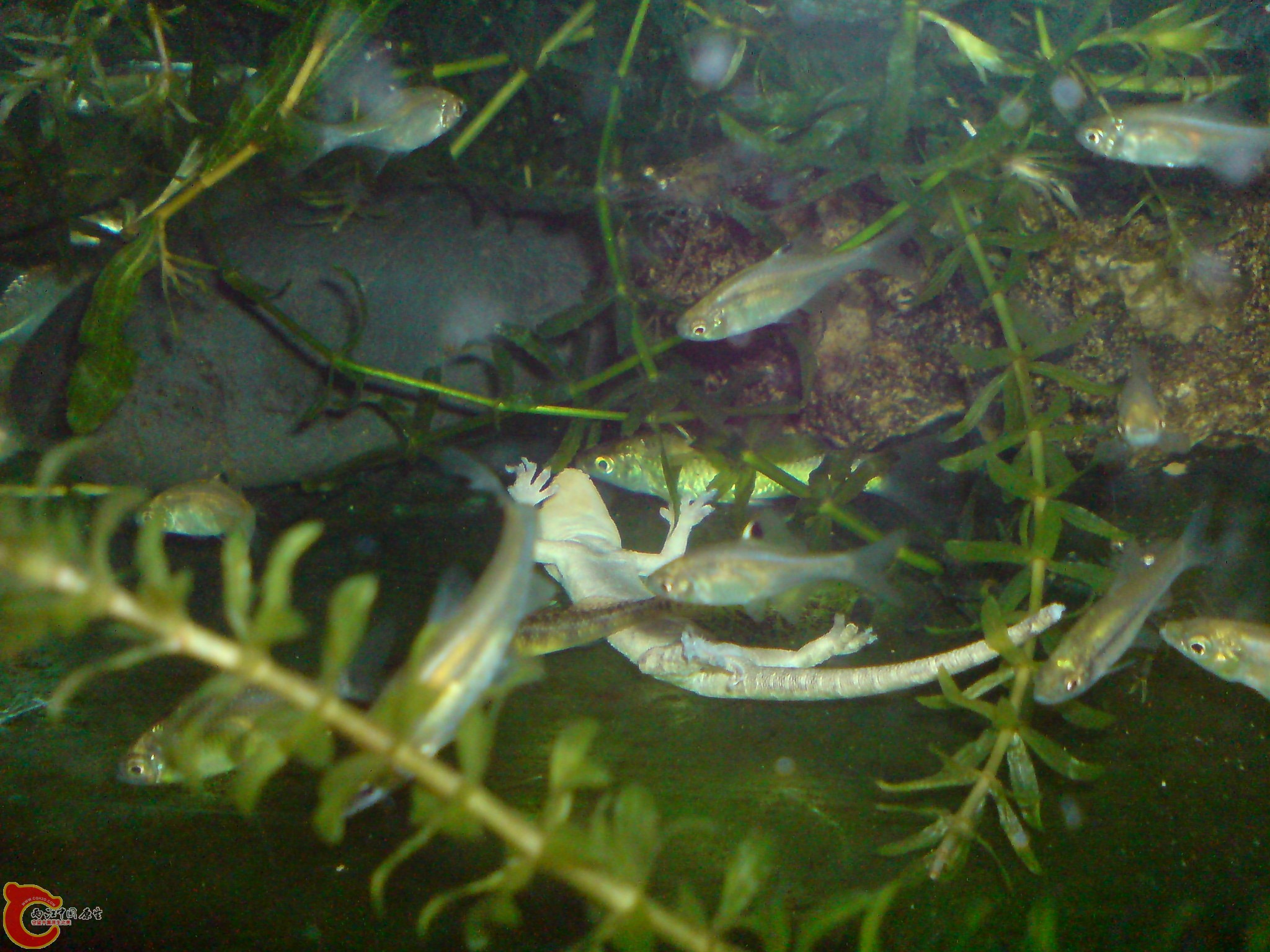 DSC00117.JPG