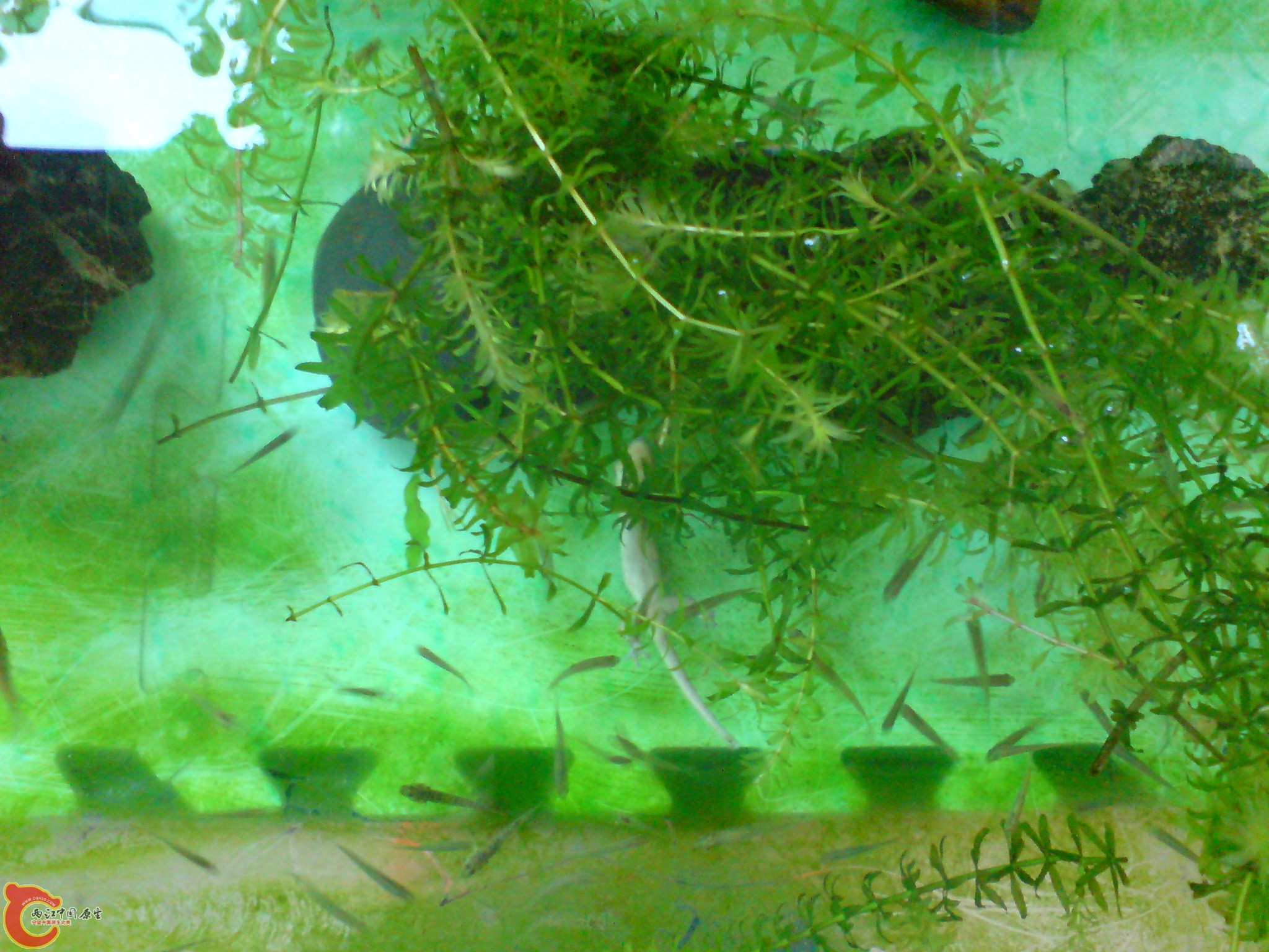 DSC00126.JPG