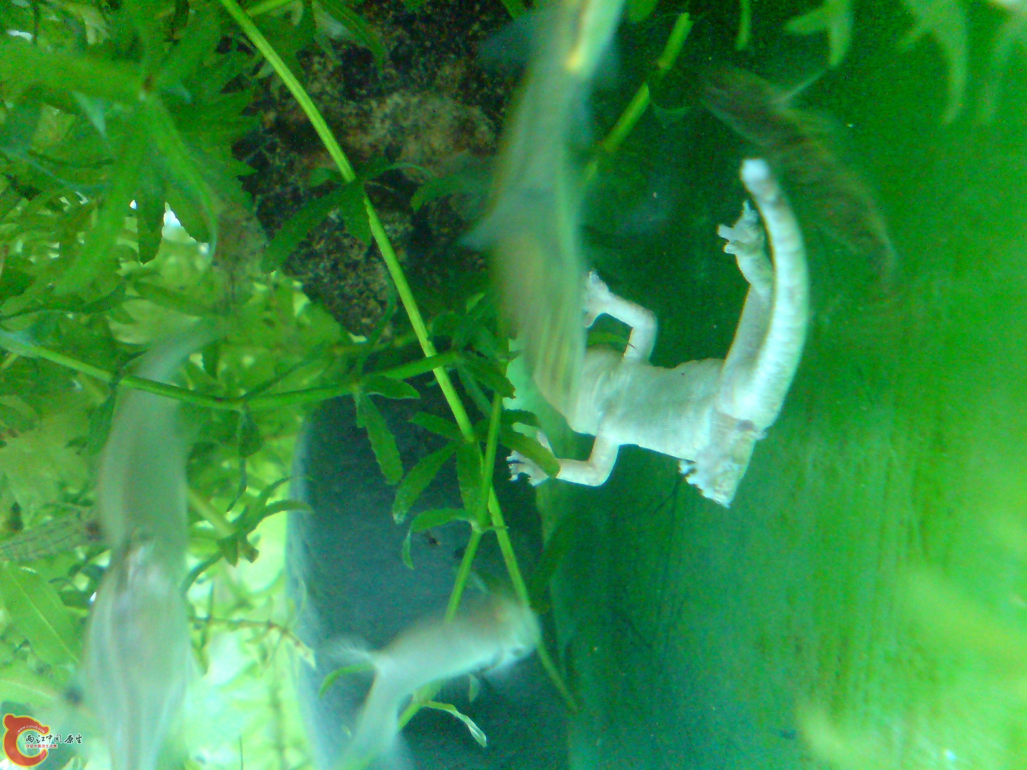 DSC00124.JPG