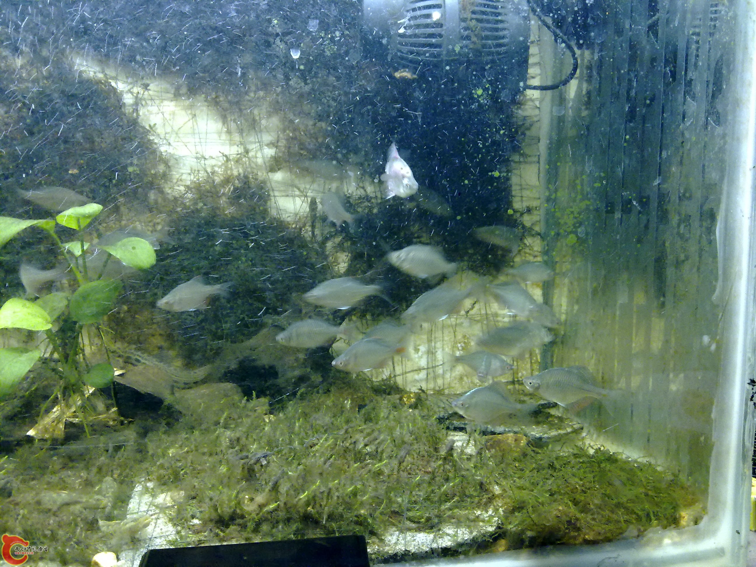 20100829065.jpg