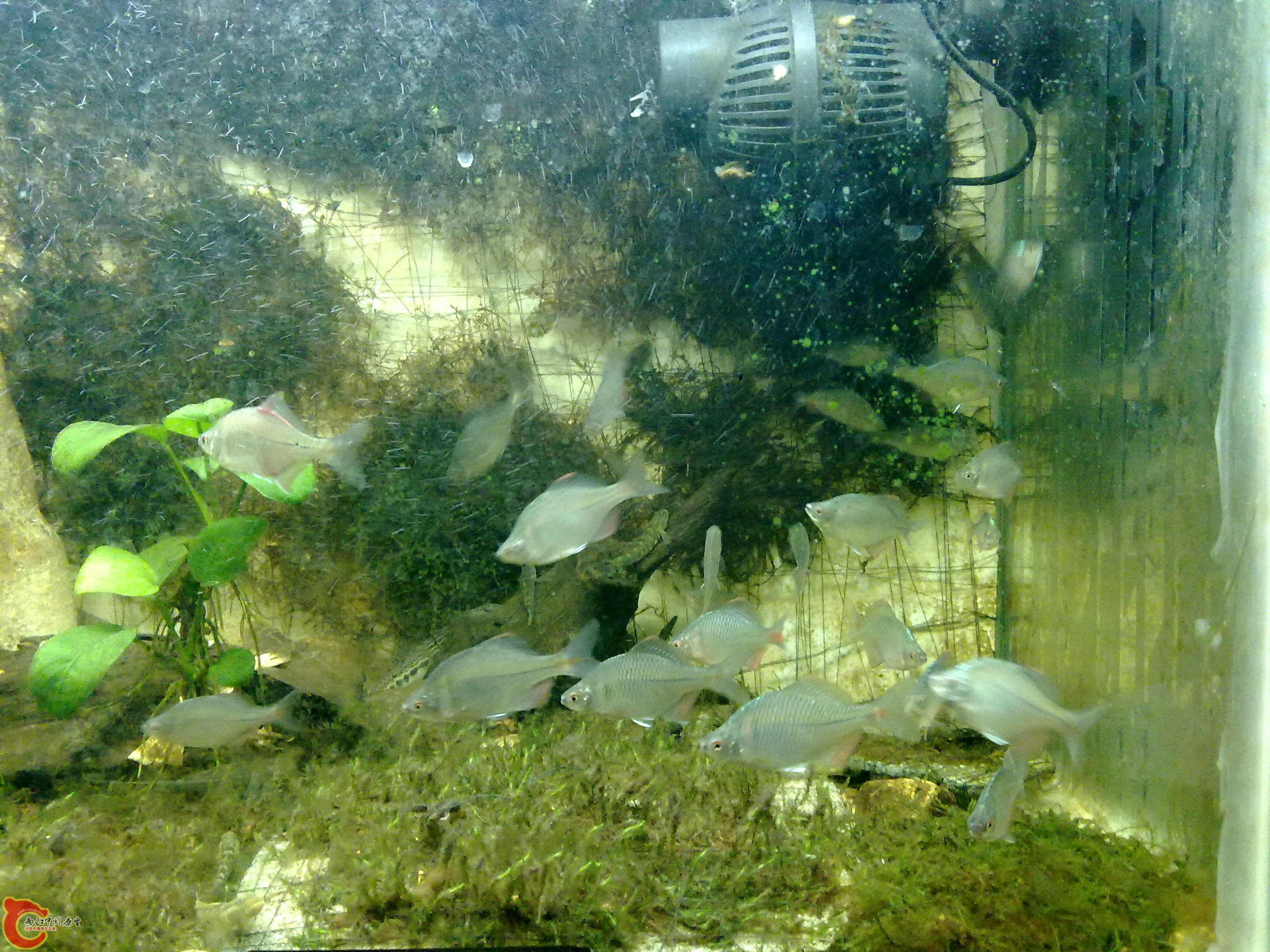 20100829069.jpg