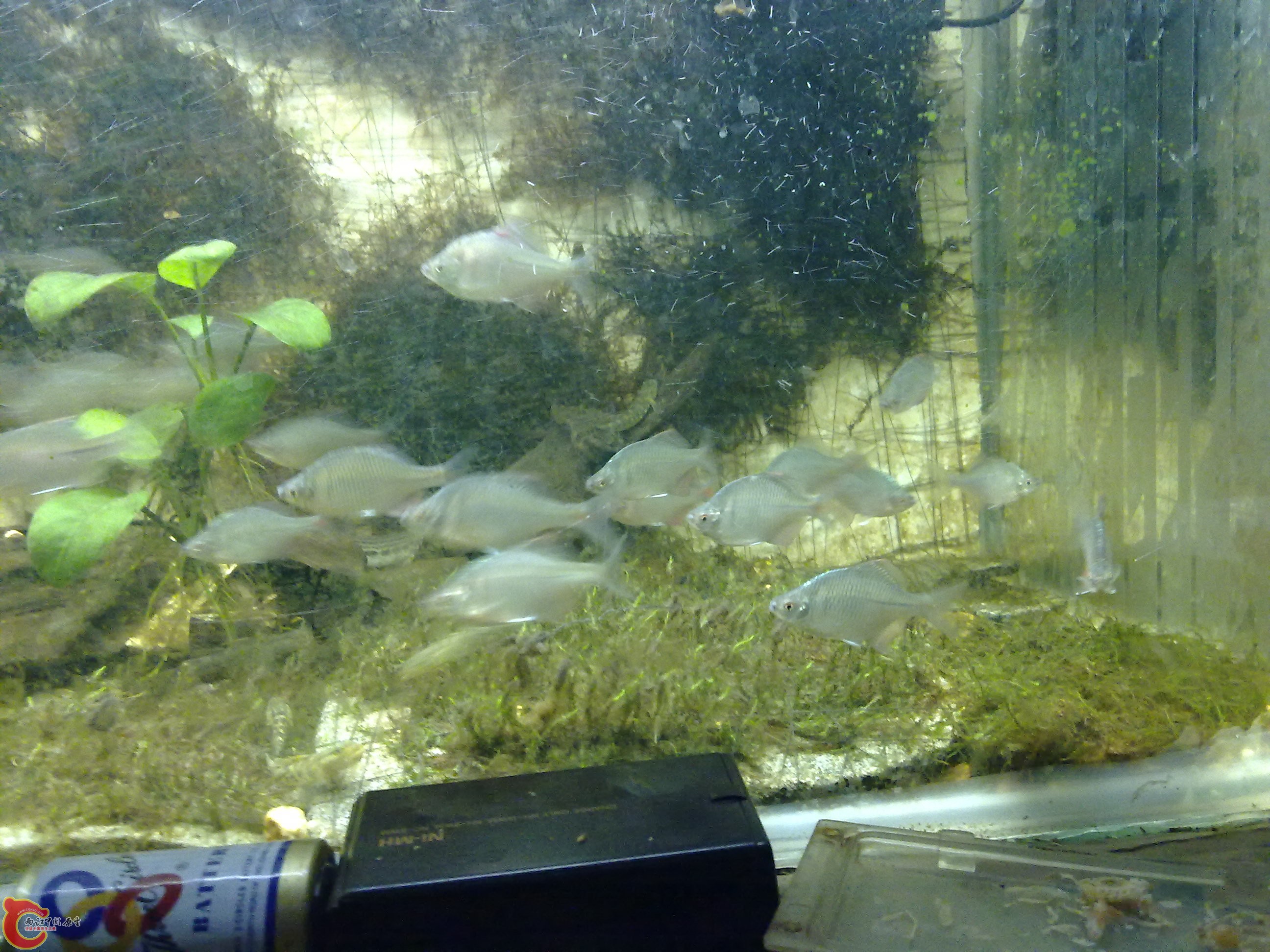 20100829067.jpg