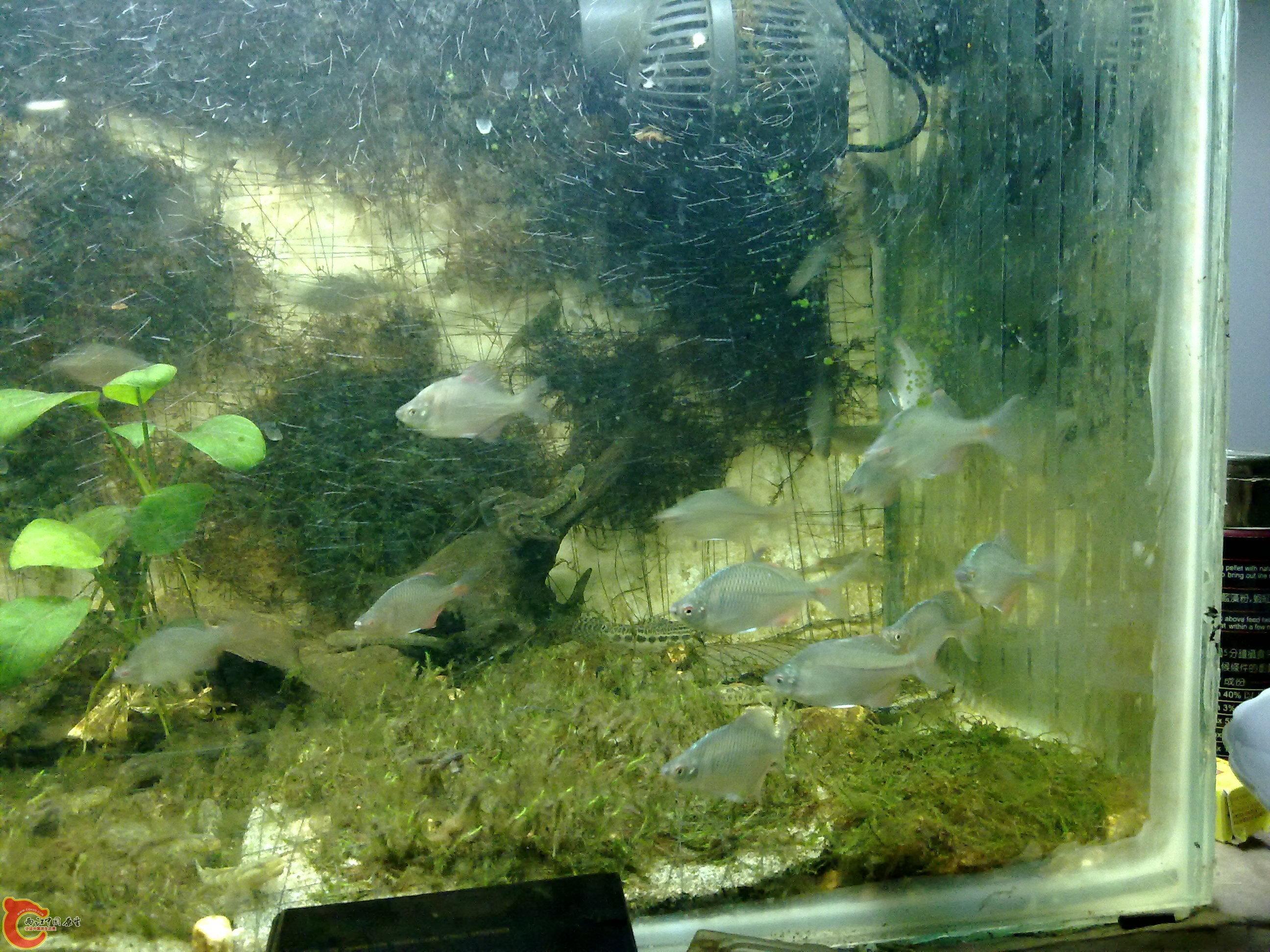 20100829071.jpg