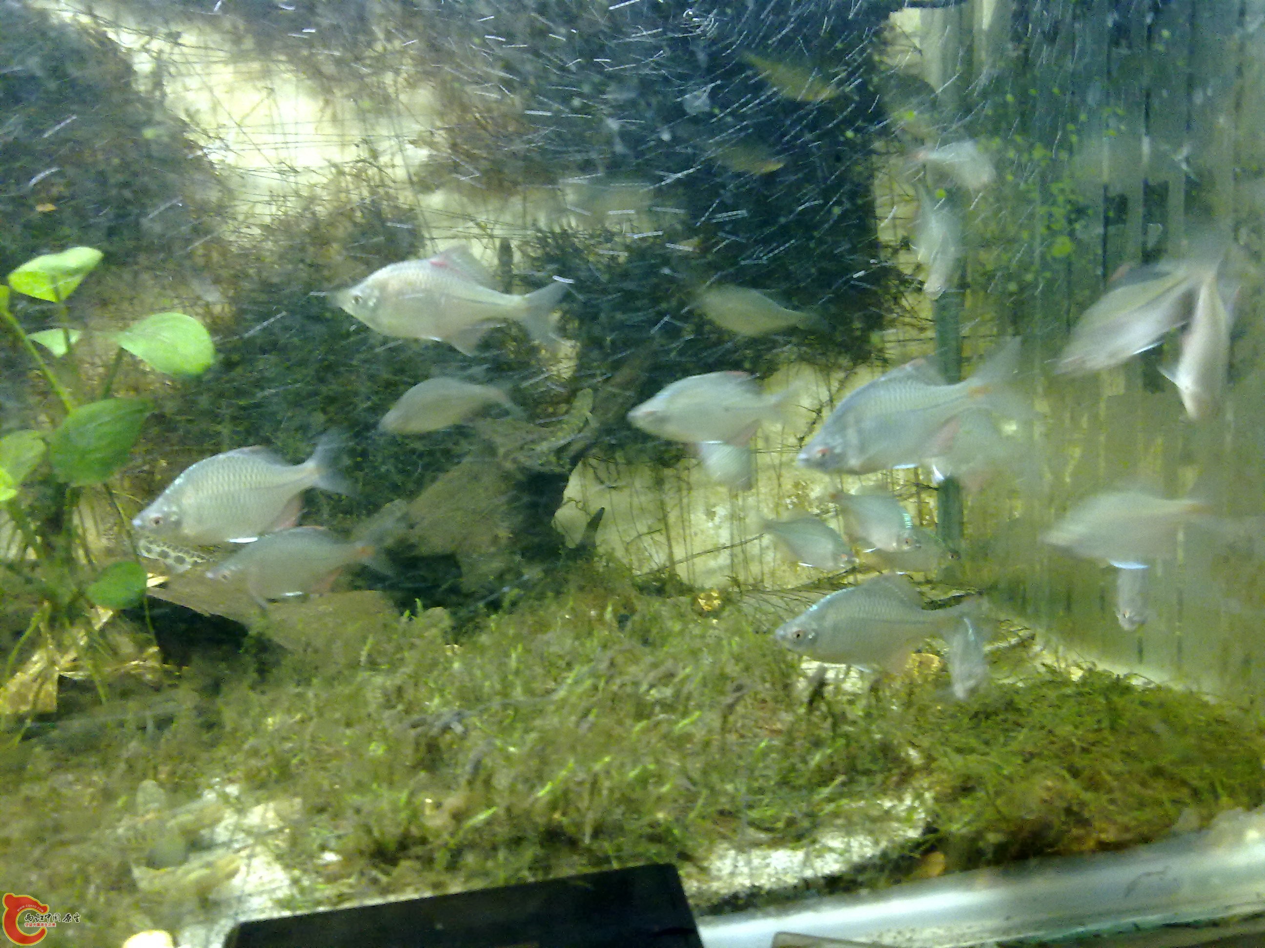 20100829066.jpg