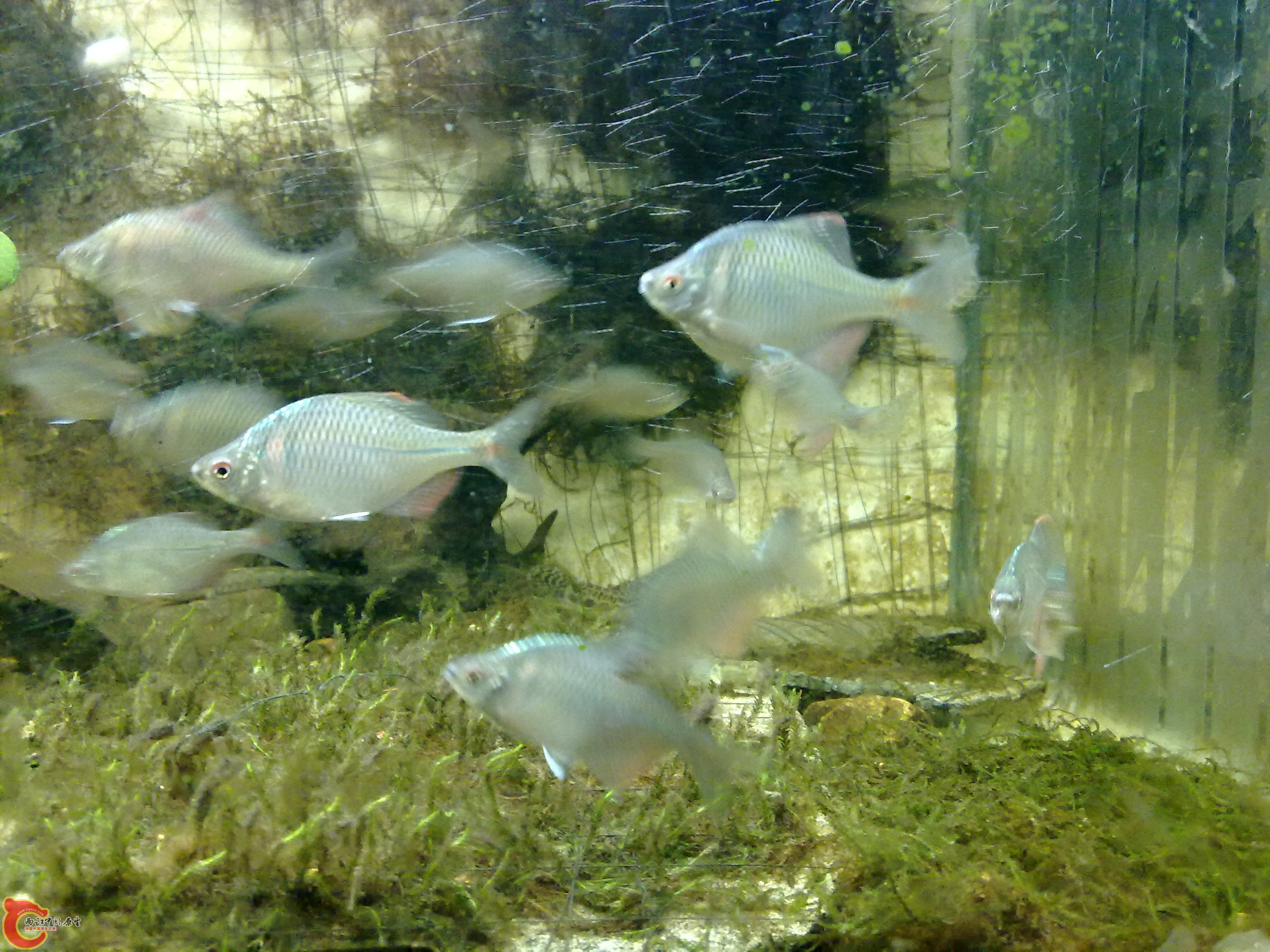 20100829073.jpg