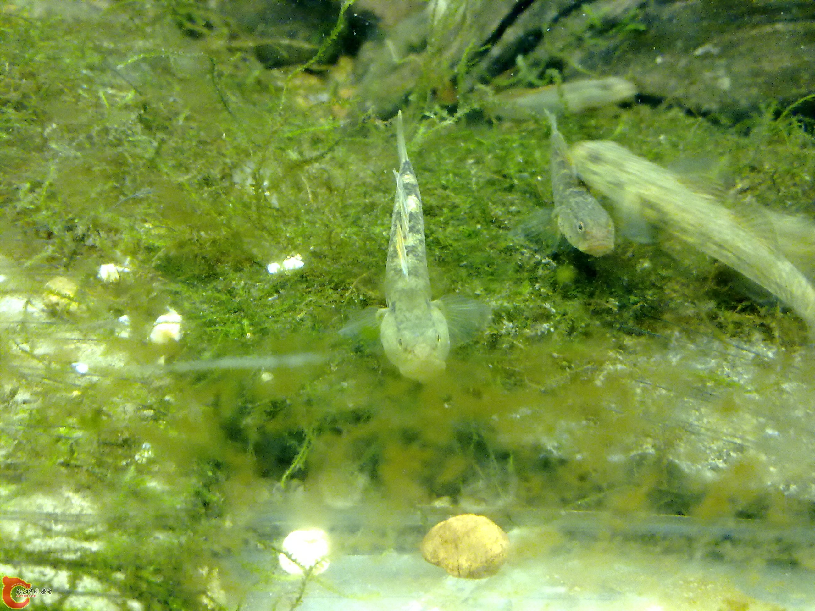 20100829082.jpg