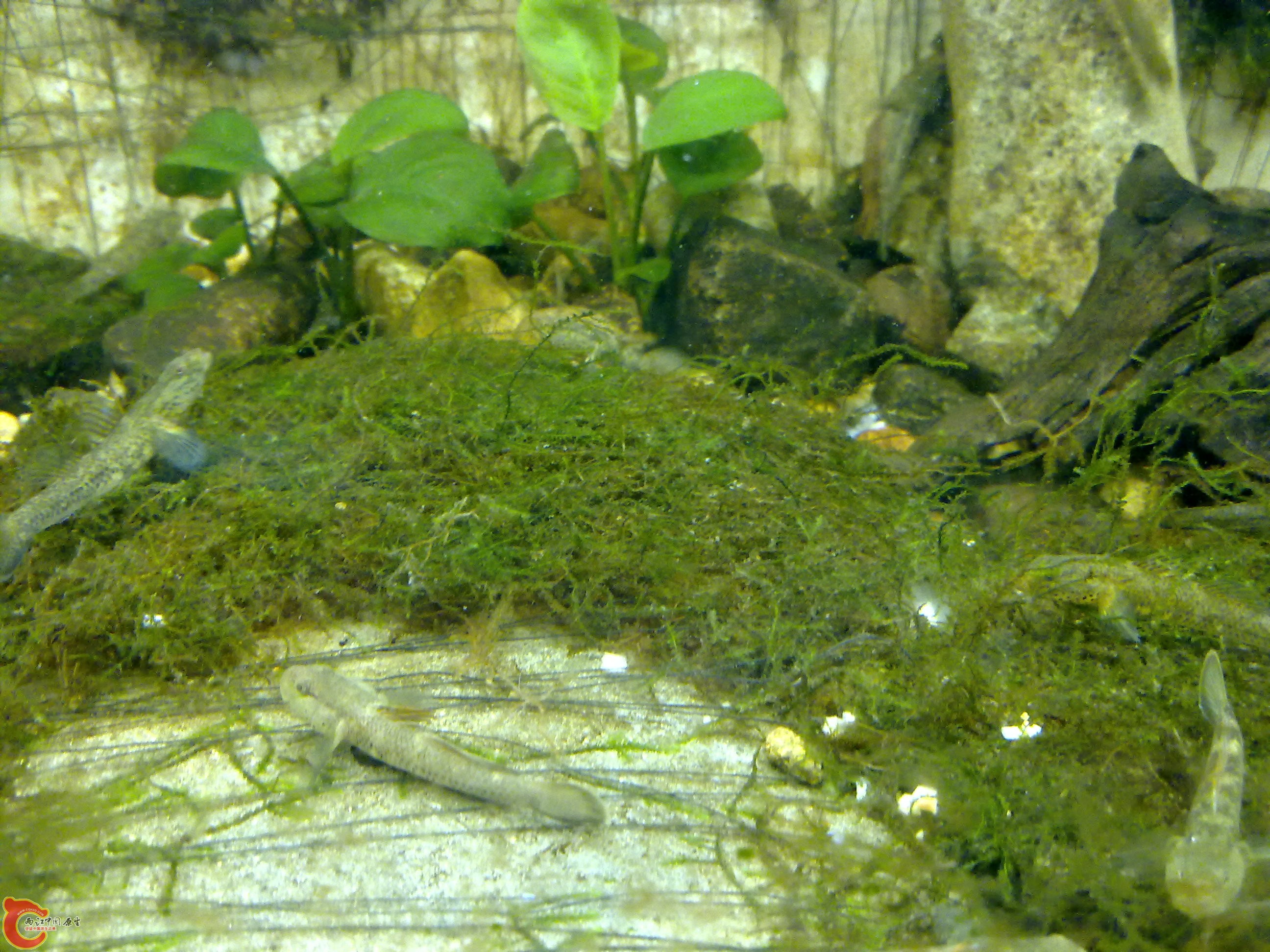 20100829083.jpg