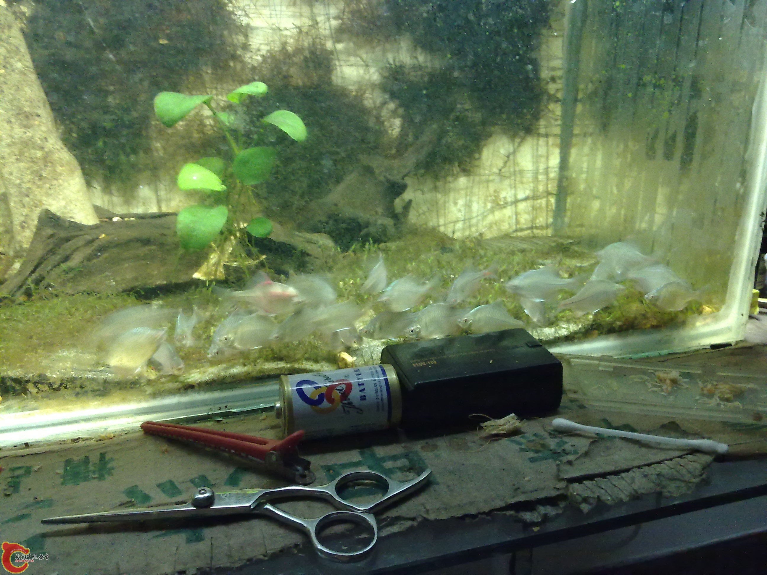 20100829089.jpg