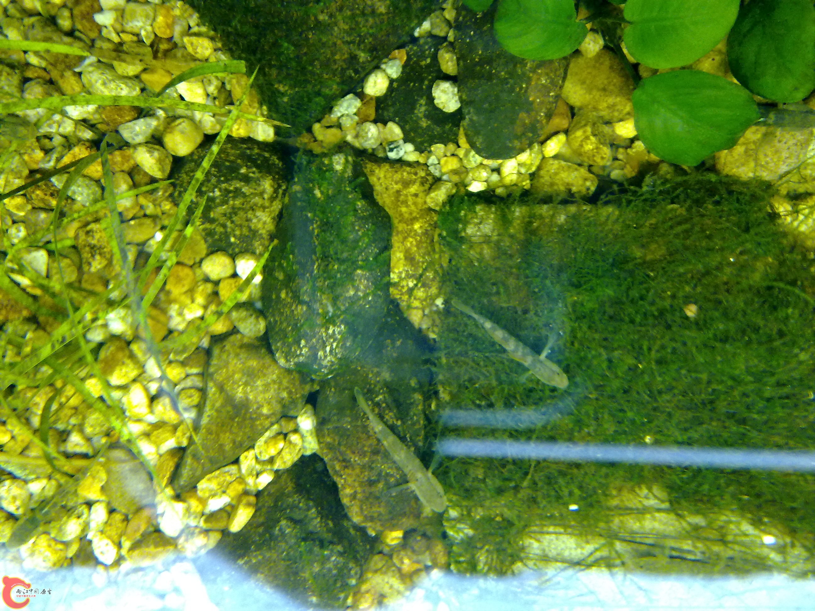 20100829085.jpg